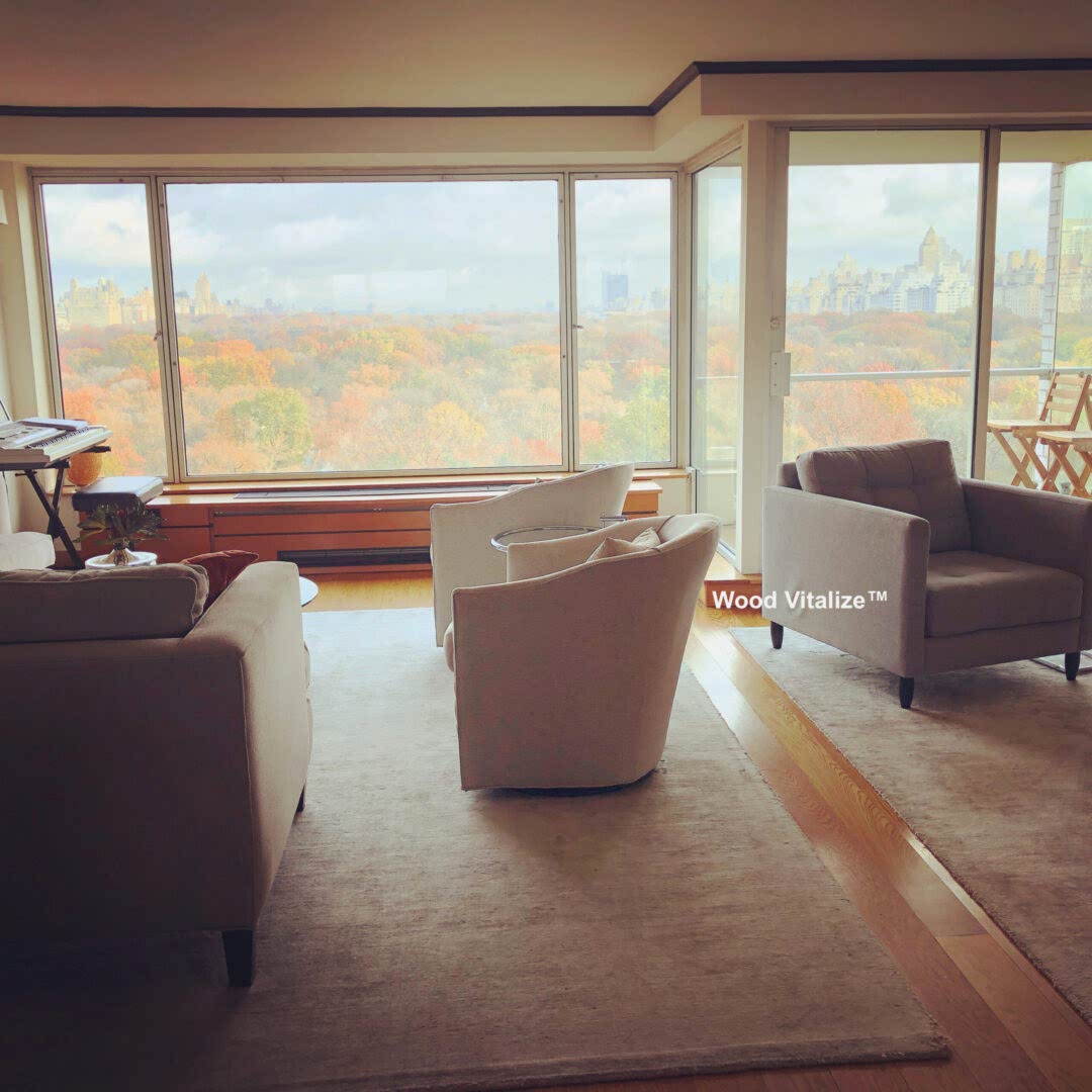High-rise living room with park view